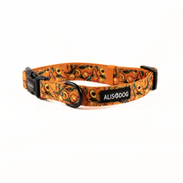 Dog Collar - Peach Bliss - ALISDOG
