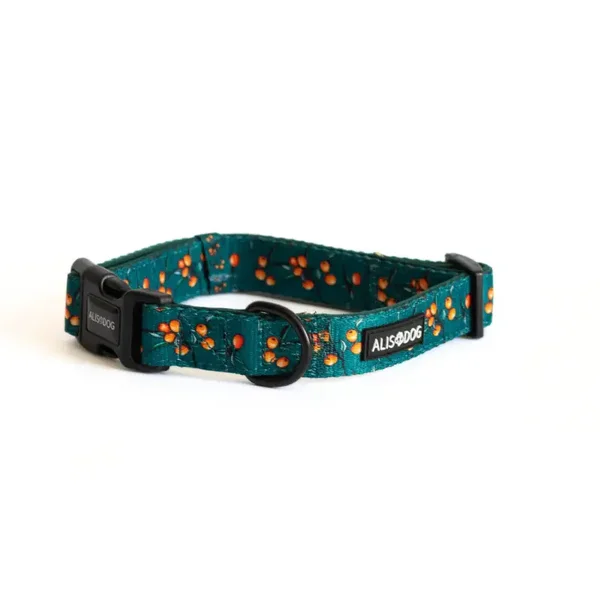 Dog Collar - Sea Buckthorn - ALISDOG