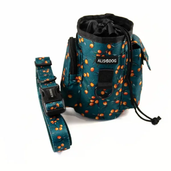 Dog Treat Bag With Belt - Sea Buckthorn - ALISDOG