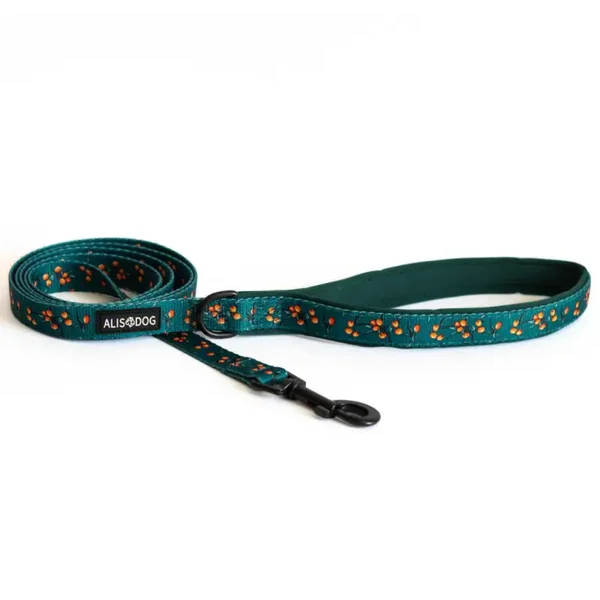 Dog Leash 180cm - Sea Buckthorn - ALISDOG