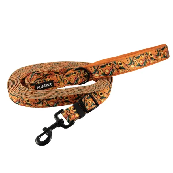 Dog Adjustable Leash 250-500cm - Peach Bliss - ALISDOG