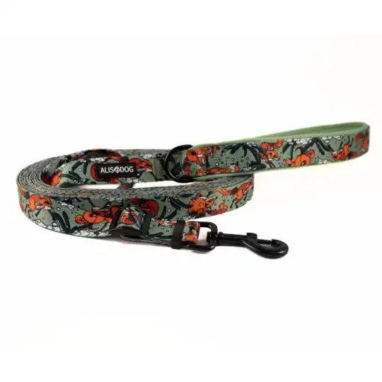 Dog Adjustable Leash 250-500cm - Sneaky Fox - ALISDOG