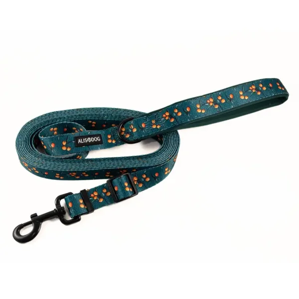 Dog Adjustable Leash 250-500cm - Sea Buckthorn - ALISDOG