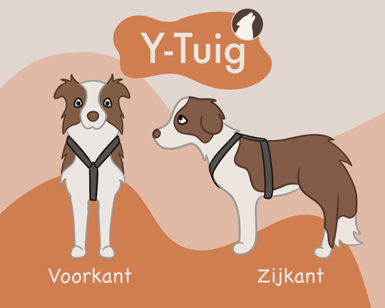 illustratie uitleg van het y-tuig of y-harnas bij een hond van de voorkant en zijkant. Howly Design