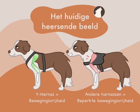 Het huidige heersende beeld van y-harnas en y-tuig ten opzichte van andere harnassen zoals het borsttuig en borstharnas. Howly Design. Wetenschap, wetenschappelijk onderzoek over tuigen en harnassen voor honden.