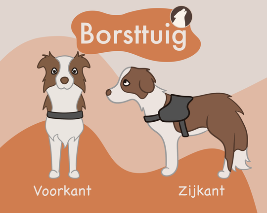 illustratie van het borsttuig, borstharnas bij hond van de voorkant en zijkant Howly Design