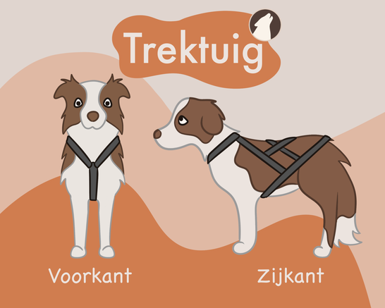 illustratie uitleg van trektuig en trekharnas bij een hond voorkant en zijkant Howly design