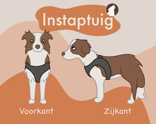 illustratie uitleg van een instaptuig instapharnas bij een hond van de voorkant en zijkant. Howly design. Instap tuig. Instap harnas