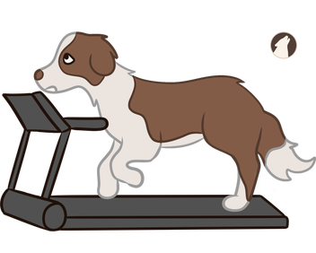 Hond op hardloopband. Howlydesign