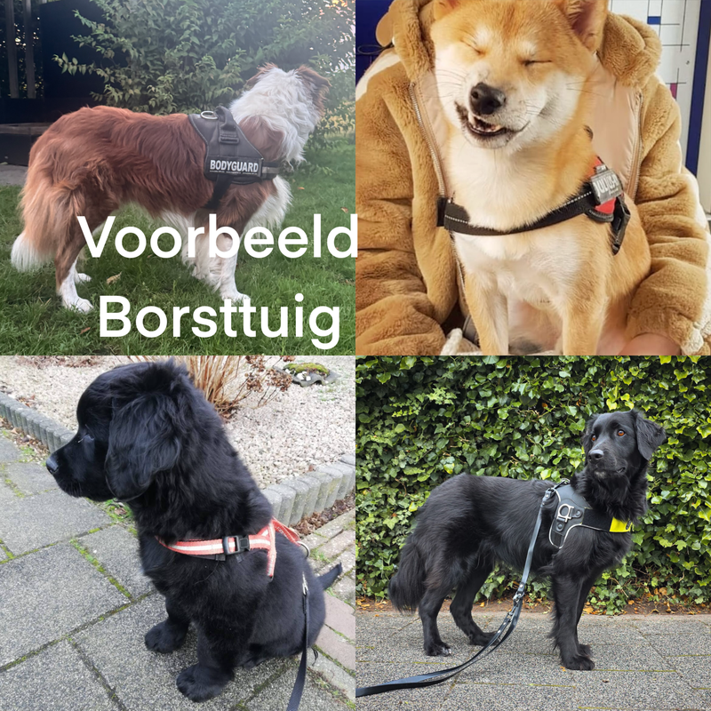 voorbeelden van het borsttuig of borstharnas bij honden