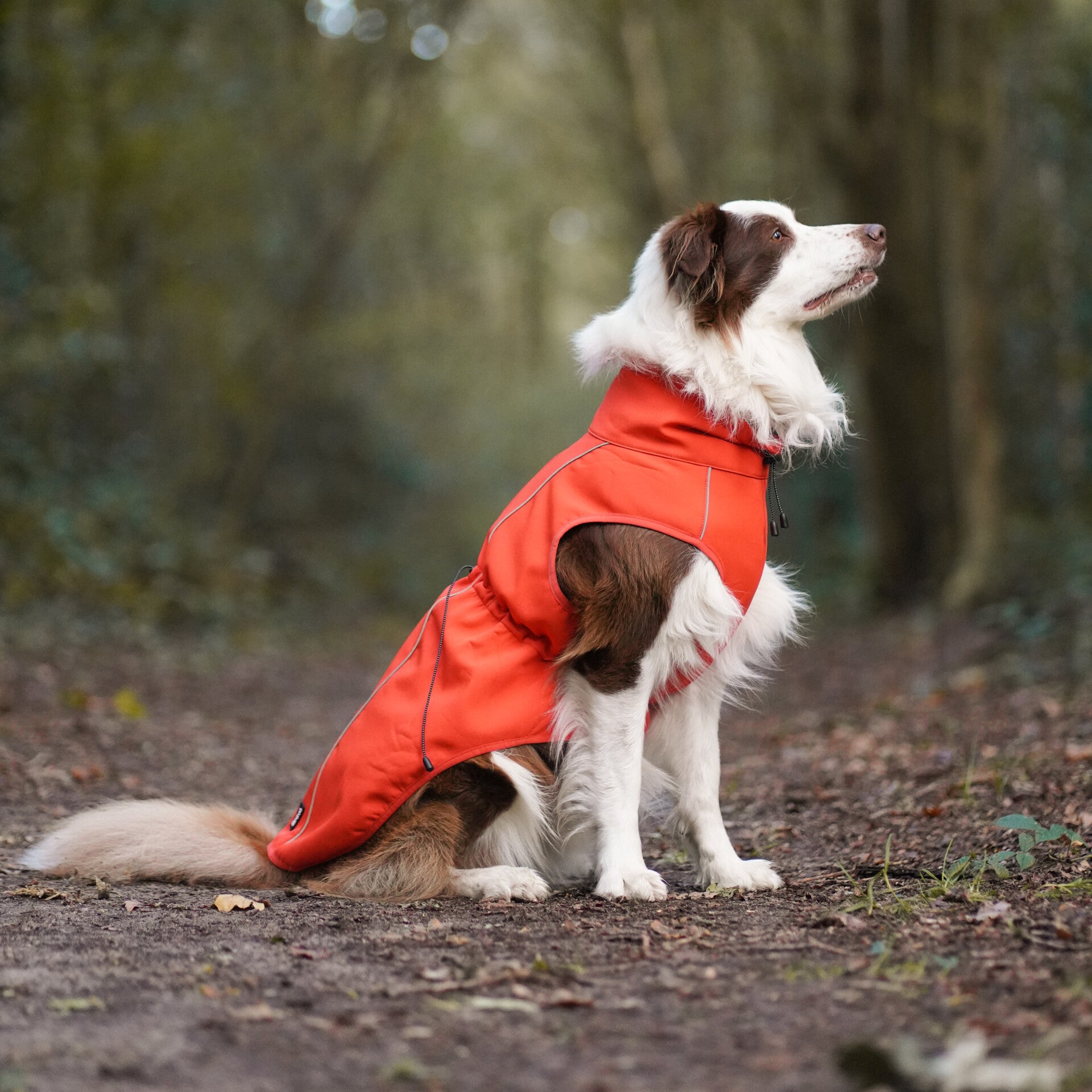 Finnero SPORT Softshell Jacket Orange