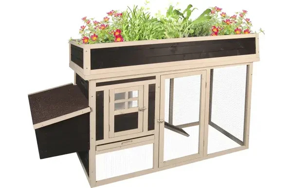 Poulailler Flora Country Brun