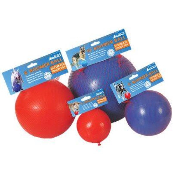 Boomer Ball pour chien