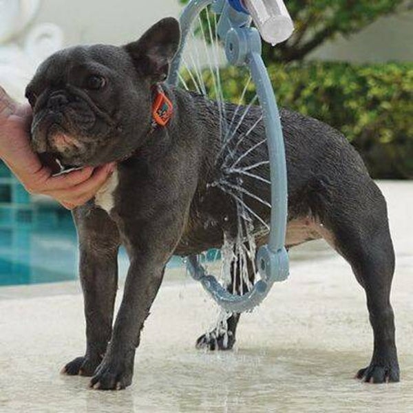 Douche pour chien 360°