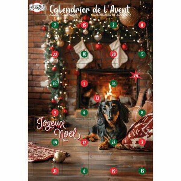 biscuits Calendrier de l'avent pour chien Doogy : 168gr