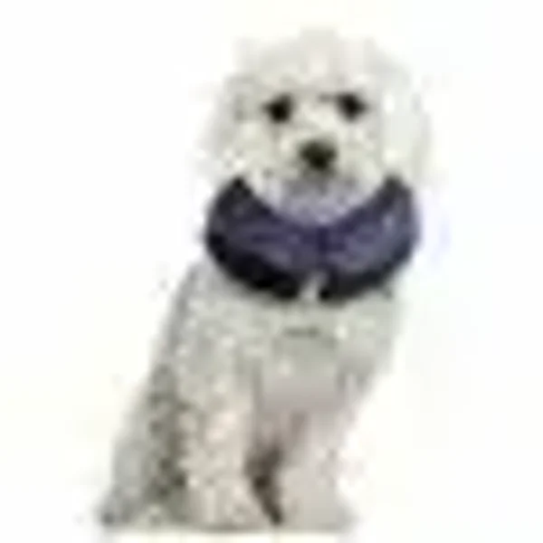 Collerette gonflable  pour chien et chat