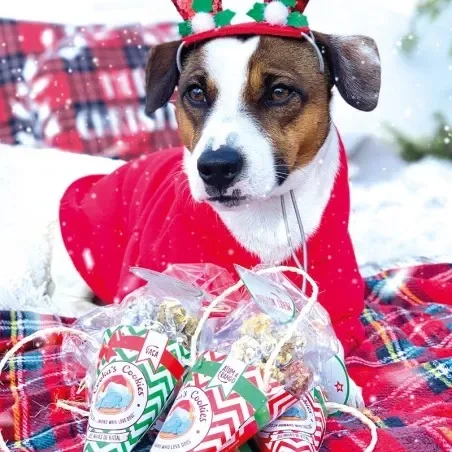 Cornet de friandises Noël COOKA’S COOKIES