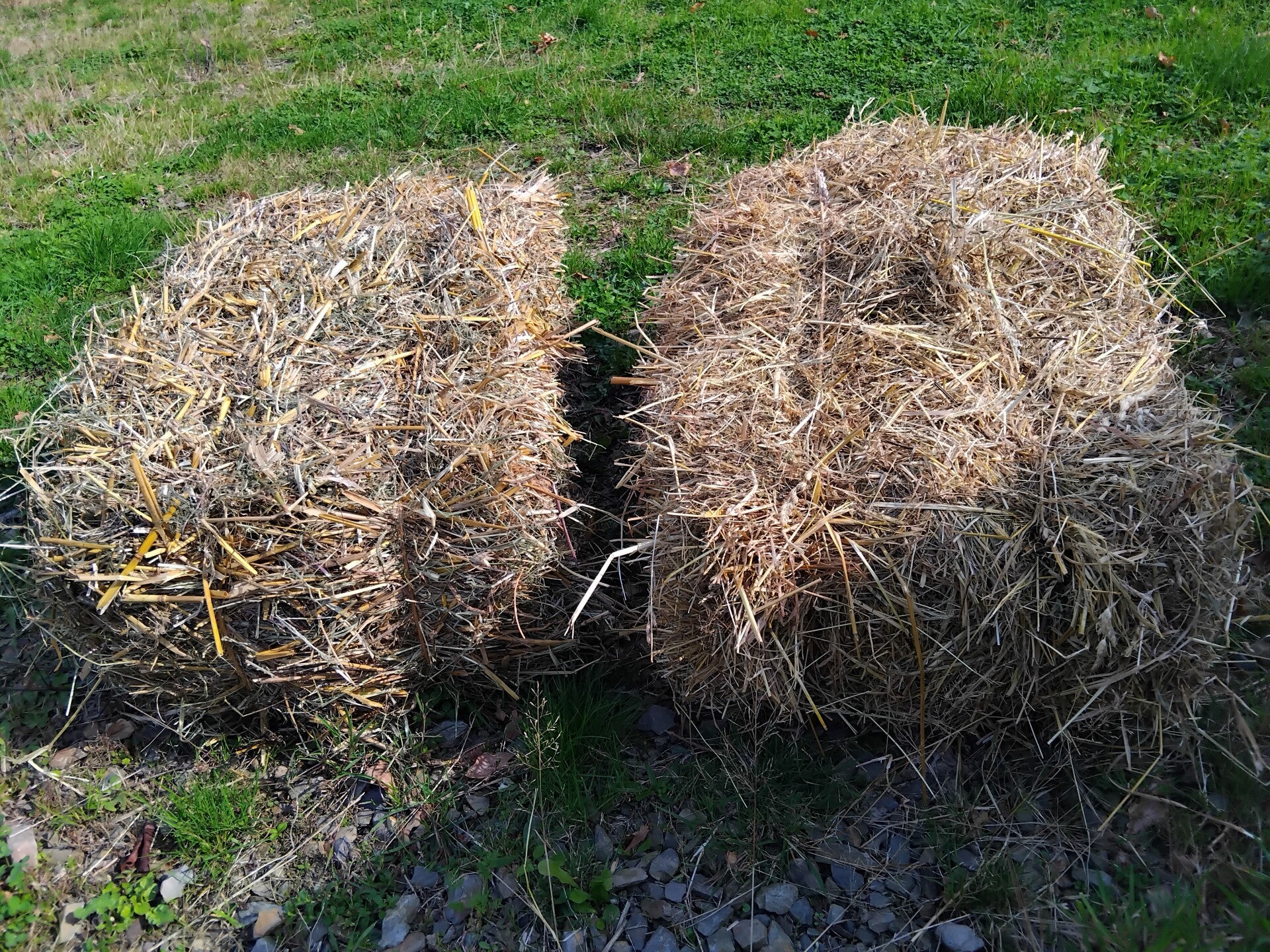 ballot foin et paille