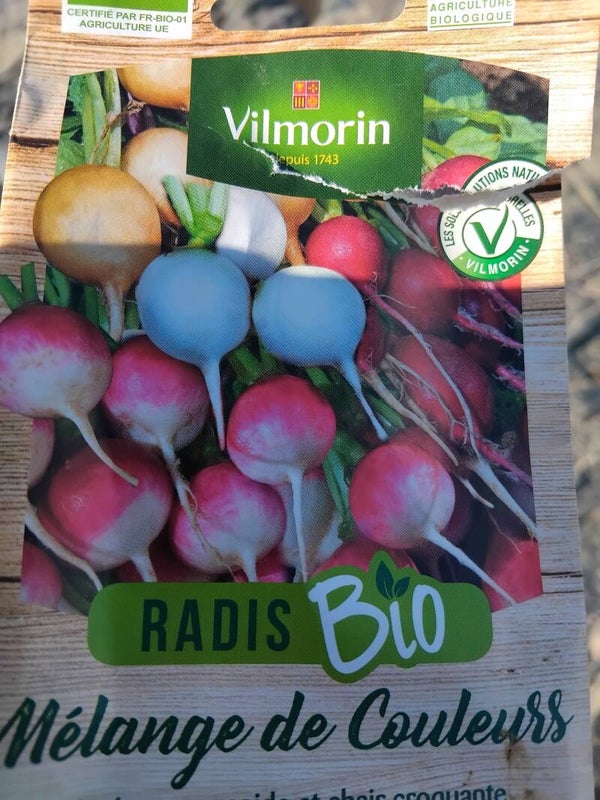 Radis multicouleurs
