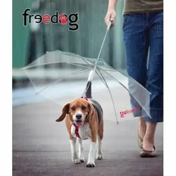 parapluie  pour chien