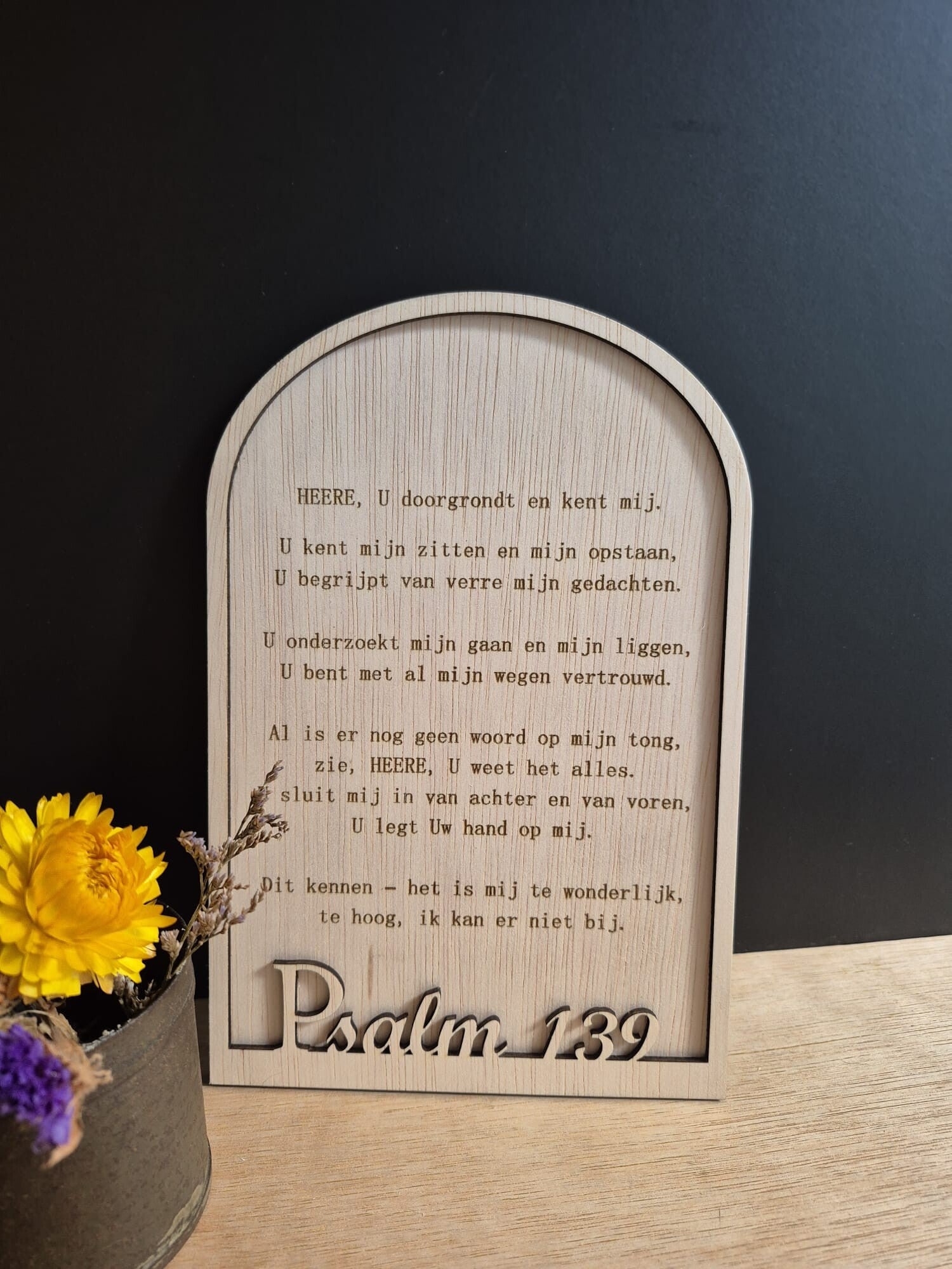 Psalm 139 U doorgrondt en kent mij (HSV)