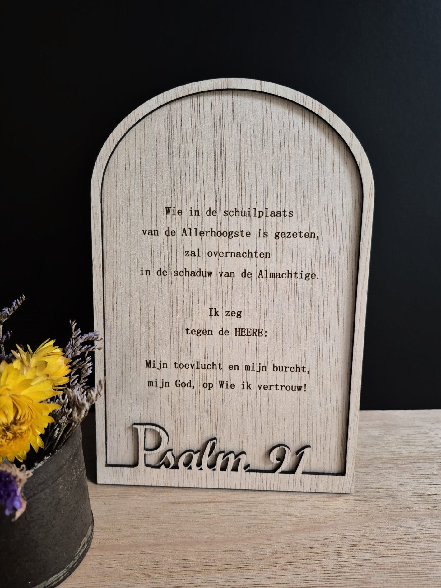 Psalm 91 De schuilplaats van de Allerhoogste (HSV)