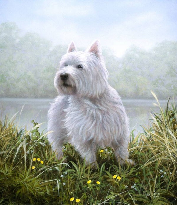 Scottie by John Silver