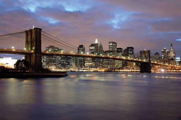 Night View by Danita Delimont