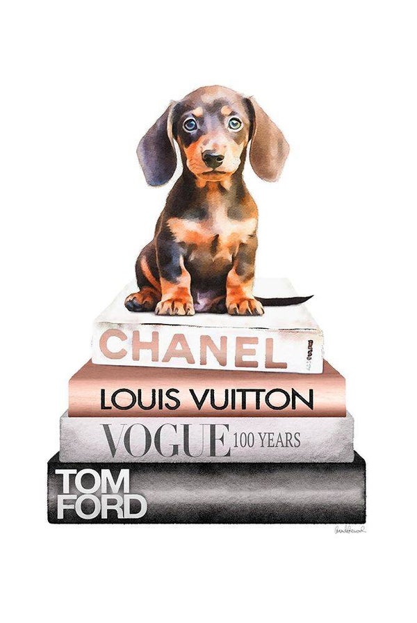 Sausage Dog on Books by Amanda Greenwood