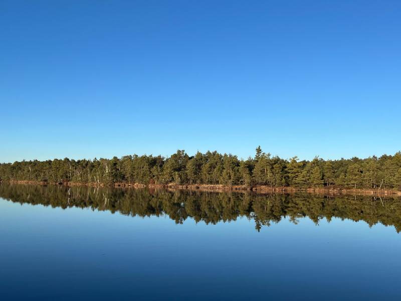 Ernst Schrattenecker Bäume und blauer Himmel spiegelt sich im See