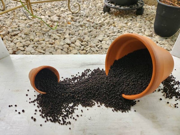 3 Cups Fluval Stratum