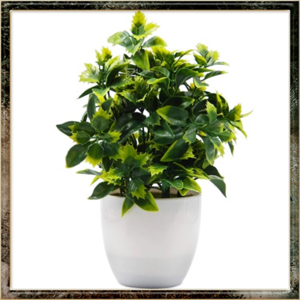 Kunstmatige potplant Eucalyptus plant