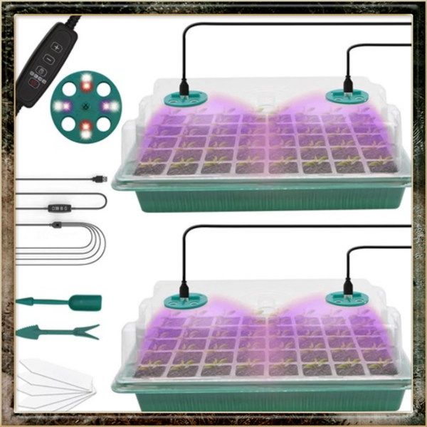 Kiemschaal, 2 stuks 2x40 cellen, mini broeikas, verstelbaar groeilicht  zaadset Kweekbak
