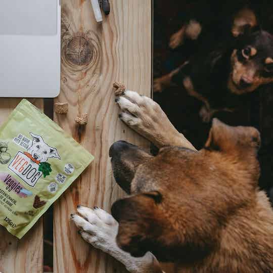 Vegdog skincare 125gr
