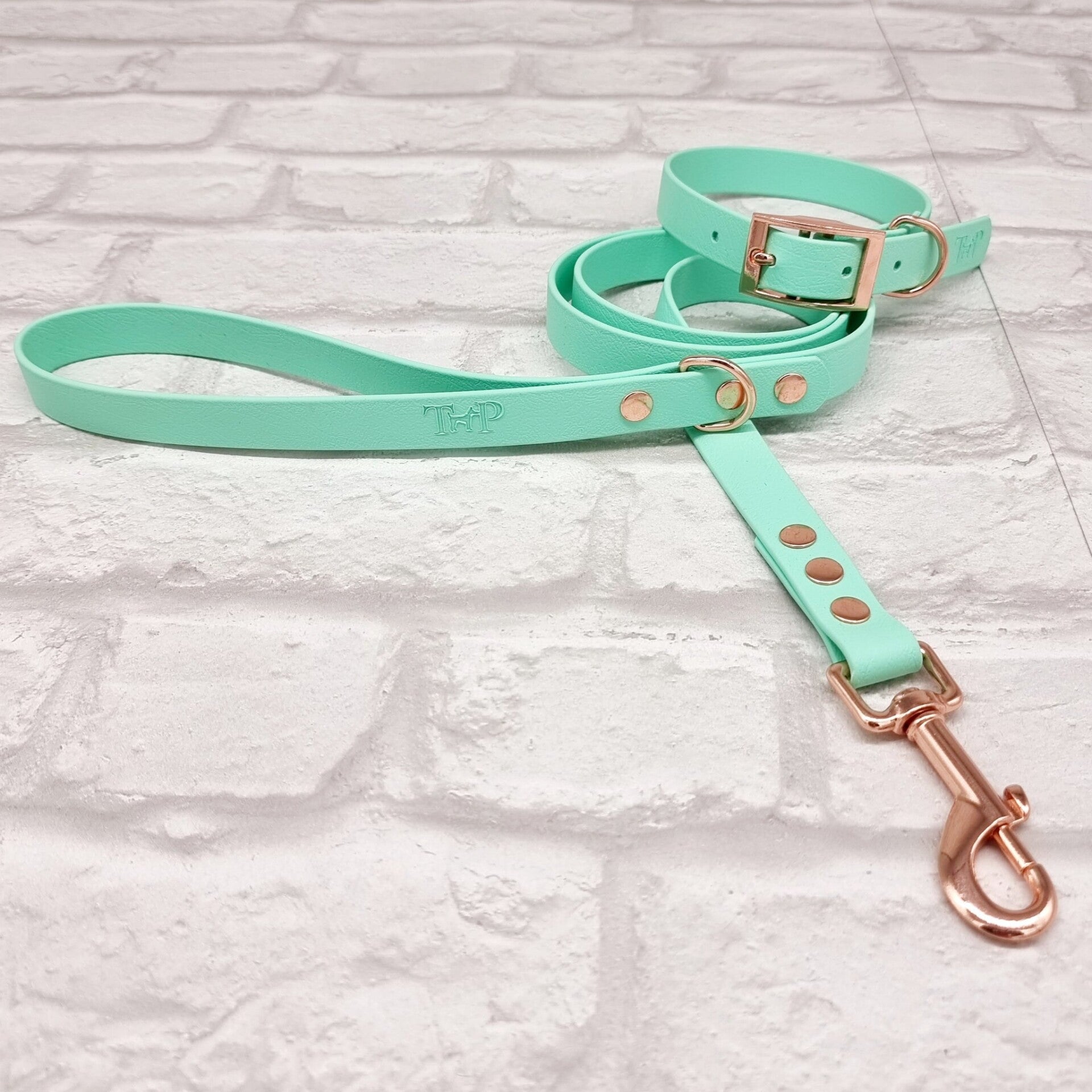 Trinkety Paws Lijn en halsband mintgroen