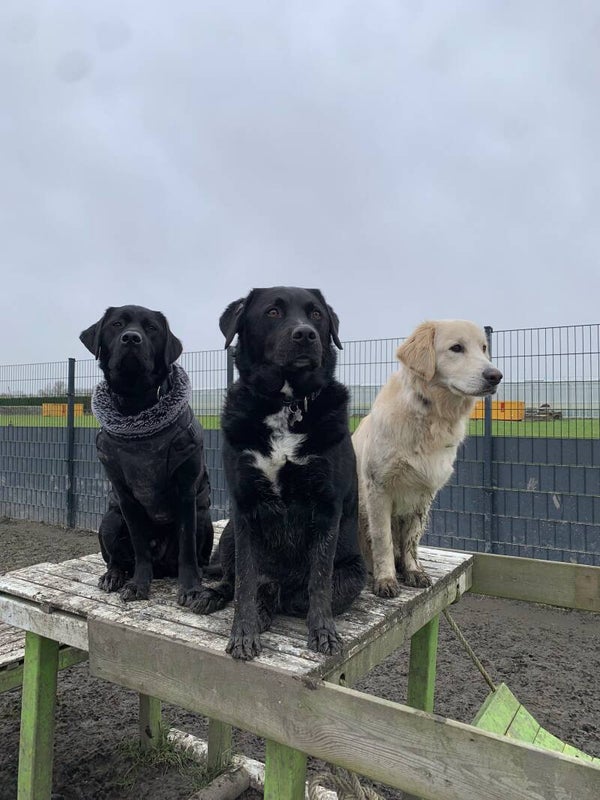 Haal en/of Breng service abonnement