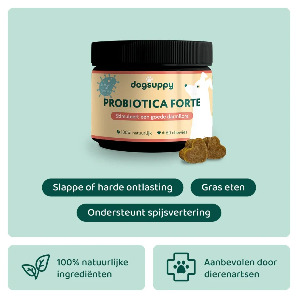 Dogsuppy Probiotica Forte