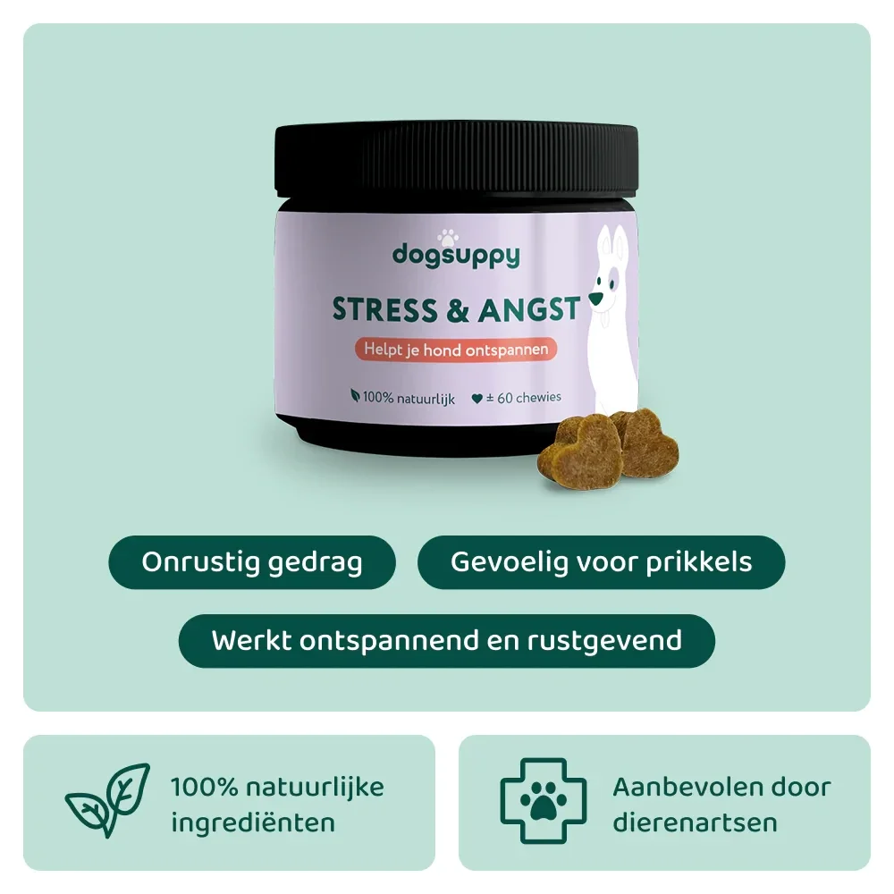 Dogsuppy Stress & Angst