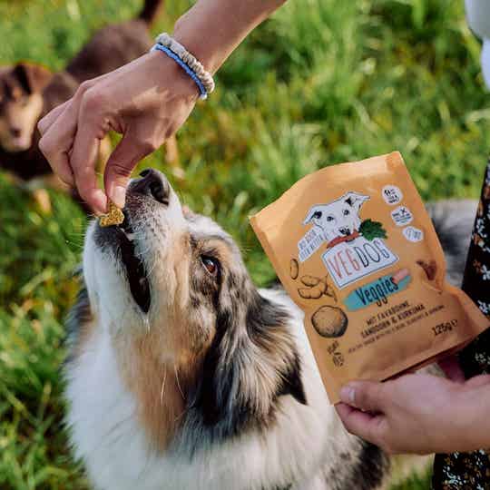 Vegdog immune 125gr