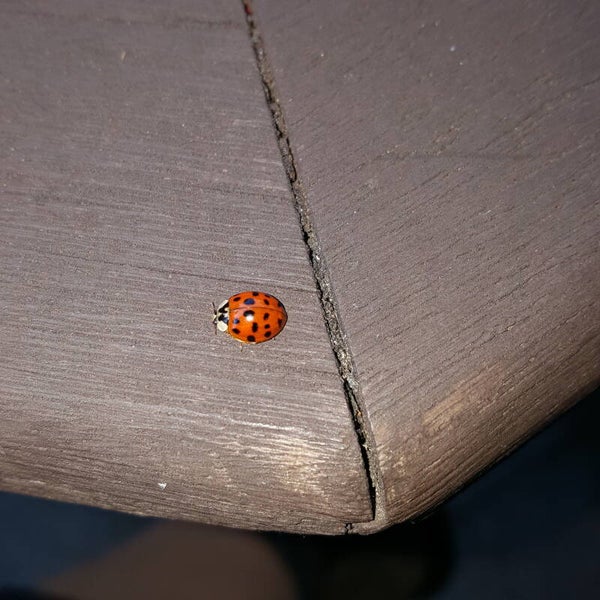 Sitzung / Weiterbildung / Beratung