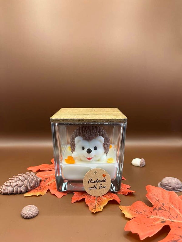 Igel im Glas - der stachelige Mitbewohner für dein Zuhause