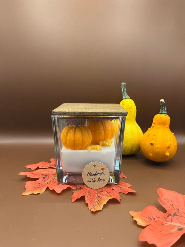 Der Kürbisgarten - dein eigener Kürbisgarten für dein Zuhause