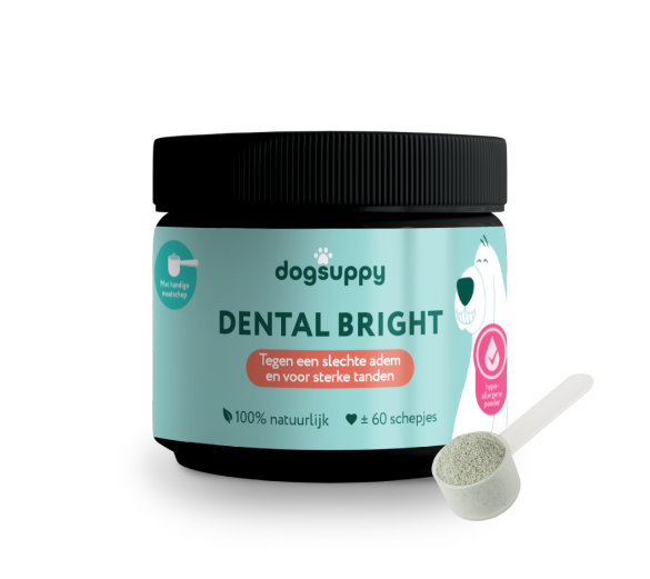 DogSuppy Dental Bright Poeder
