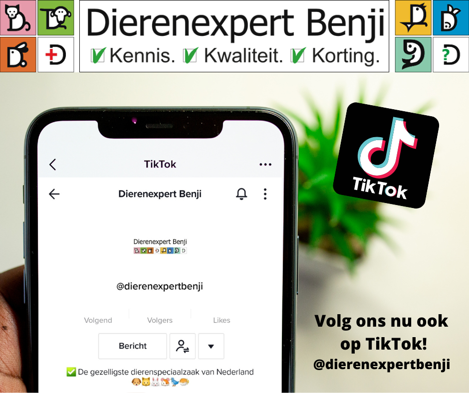 tiktok.png?enable-io=true\u0026width=1920