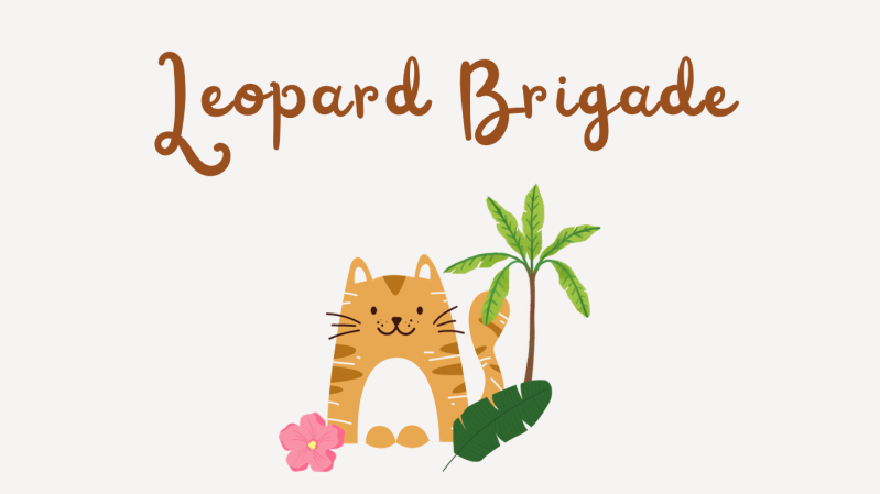 allevamento gatti del bengala vicenza veneto nord italia