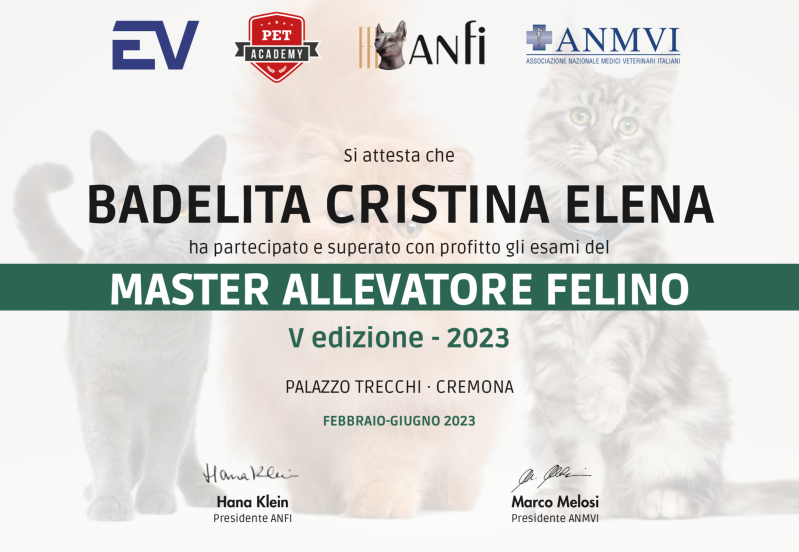 master allevatore felino ANFI