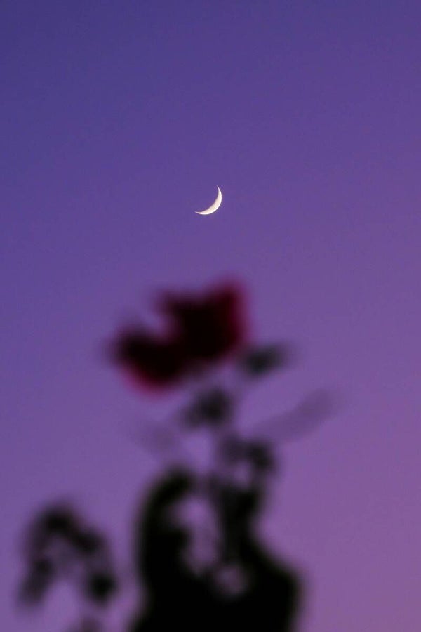 Ressource simple (tableau, planner..)