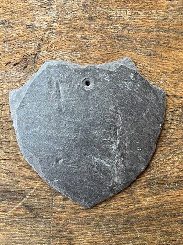 Schieferschild "Bachen Raubwild Haken"