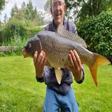 79schubkarper70cm29-08-2023volkstuinrl-3.jpg