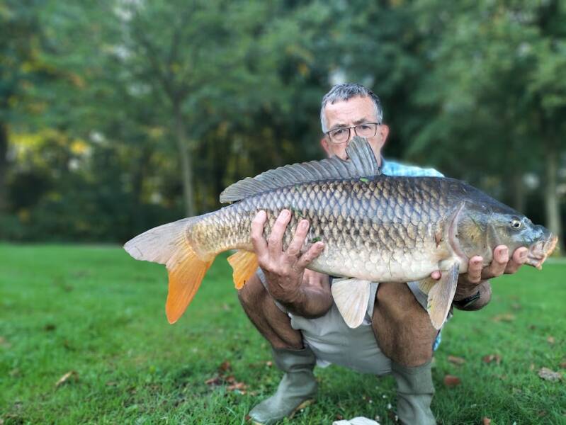 100schubkarper77cm75kg08-09-2023rlp.jpg